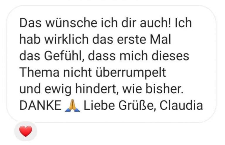 Kundenstimme Kurs Steuer-DNA. Screenshot einer Nachricht auf Instagram.
